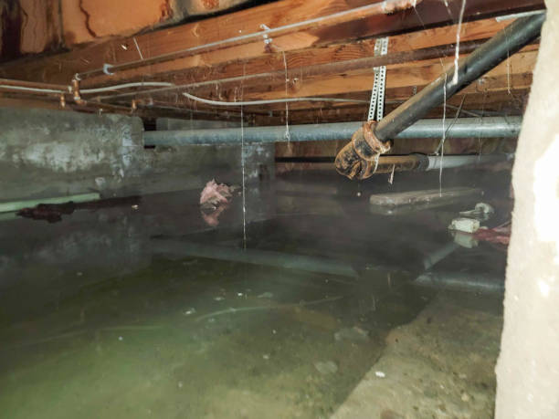 Fire Damage Restoration in SC