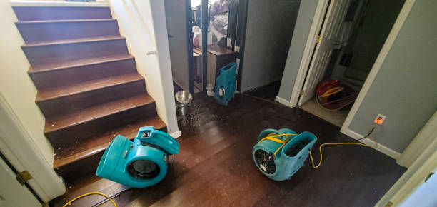 Best 24-hour water damage restoration  in Surfside Beach, SC