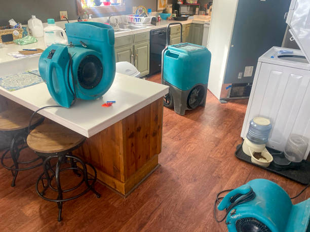 Best Basement water damage restoration  in Surfside Beach, SC