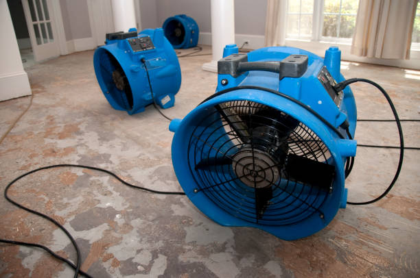 Best Water damage restoration near me  in Surfside Beach, SC