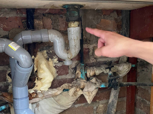 Best Local water damage restoration  in Surfside Beach, SC