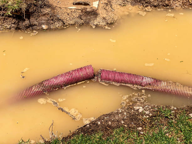  Surfside Beach, SC Water damage restoration Pros